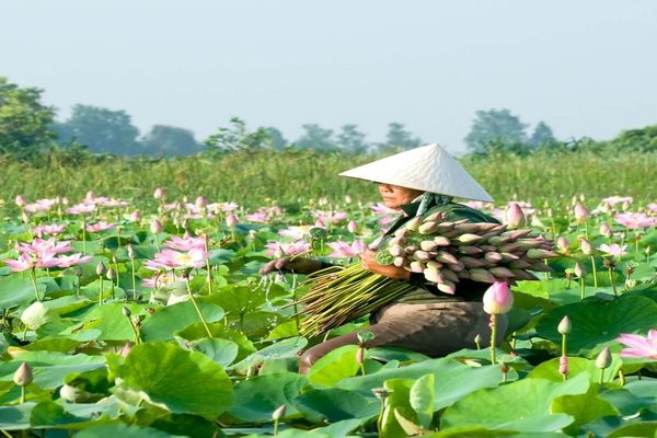 Mekong Delta