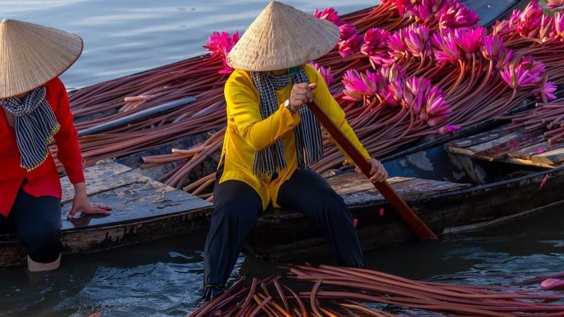 Mekong Delta